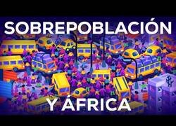 Enlace a ¿Qué problemas puede conllevar la sobrepoblación?