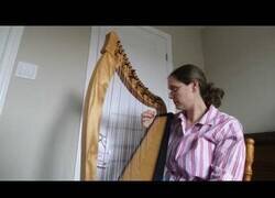 Enlace a El susto que te llevas cuando se te rompe una cuerda de un arpa