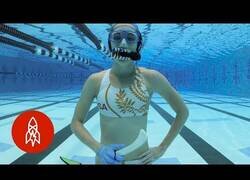 Enlace a Así es el Hockey bajo el agua