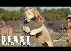 Enlace a El hombre que abrazaba a los leones