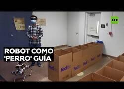 Enlace a El 'perro robot' que podría ayudar a las personas ciegas
