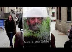 Enlace a Artista belga crea 'el oasis portátil' para reemplazar a las mascarillas