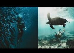 Enlace a Descubriendo las Islas Galápagos