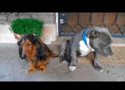 Enlace a Cuando no puedes ni mirarle a los ojos por la culpabilidad