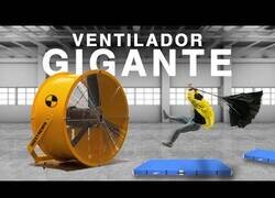 Enlace a Enfrentándose a un ventilador gigante