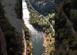 Enlace a ¿Te subirías a esta catapulta humana?