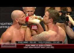 Enlace a Las excentricidades de Sean O'Conell en los pesajes