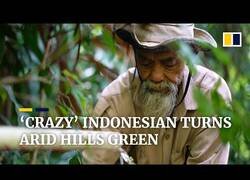 Enlace a Sadiman, el hombre que levantó un bosque en una zona árida de Indonesia