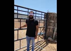 Enlace a Cuando tu novio abandona a tu perrito