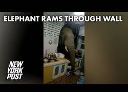Enlace a Un elefante se cuela en la habitación de una casa en Tailandia