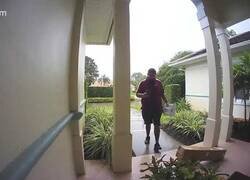 Enlace a Diferencias entre dos empresas diferentes de paquetería