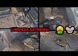 Enlace a Intentando limpiar el coche que no quiere limpiar nadie