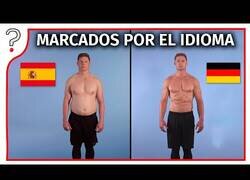 Enlace a ¿Nuestro idioma nativo nos condiciona la vida?