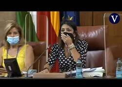 Enlace a Una rata se cuela en el Parlamento de Andalucía