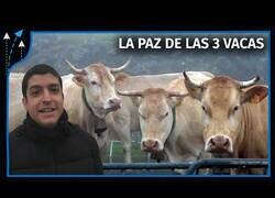 Enlace a ¿Por qué Francia le da 3 vacas a España cada año?