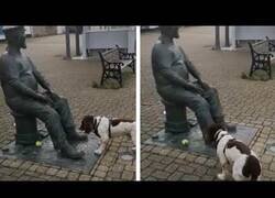 Enlace a Un perro espera a que una estatua le lance la pelotita