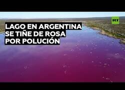 Enlace a Un lago argentino se tiñe de rosa por la polución