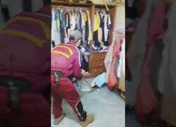 Enlace a Extrayendo una pequeña culebrilla de un domicilio particular