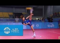 Enlace a Esto es lo que obtienes si mezclas Kung Fu con Volleyball