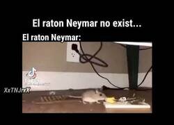 Enlace a El ratón Neymar