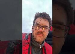 Enlace a Los pulpos no se dejan pescar tan facilmente