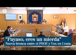 Enlace a Provocaciones e insultos en el Pleno de Ceuta