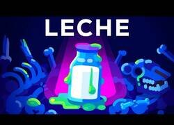 Enlace a ¿Es la leche realmente saludable?