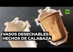 Enlace a Diseñan vasos desechables hecho de frutos
