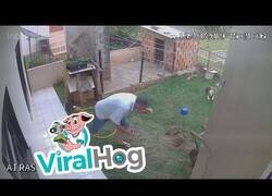 Enlace a Una forma efectiva para acabar con las plagas en tu jardín