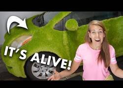 Enlace a El primer coche con 'carrocería viva' gracias a los brotes de chía