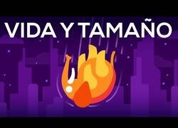 Enlace a ¿Qué pasaría si lanzásemos un elefante desde un rascacielos?