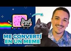 Enlace a La historia de cómo Nyan Cat se convirtió en meme