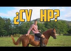 Enlace a ¿Cuántos caballos de potencia tiene un caballo?