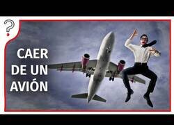 Enlace a ¿Qué pasaría si cayésemos desde 10.000 metros?
