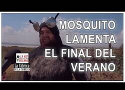 Enlace a Mosquito lamenta el final del verano
