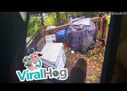 Enlace a Cuando tu plataforma de madera no aguanta un peso infinito