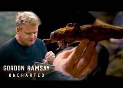 Enlace a El Chef Ramsay prueba en Perú la cobaya a la brasa