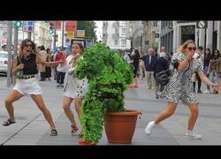 Enlace a El seto de los infartos [Cámara oculta]