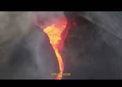 Enlace a ¡Ya no hay virus!