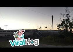 Enlace a Un tren impacta contra un transportador de vehículos