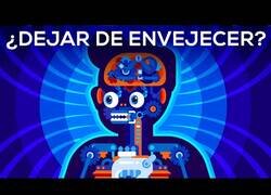 Enlace a ¿Deberíamos detener el envejecimiento si pudieramos?