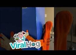 Enlace a El disfraz de Halloween perfecto no exi...