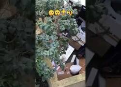 Enlace a Cuando estás perdido y no puedes hacer nada para remediarlo