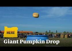 Enlace a Una calabaza gigante cae a una piscina desde 30 metros de altura