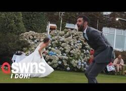 Enlace a No es muy buena idea jugar a béisbol el día de tu boda