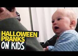 Enlace a Los más pequeños no lo pasan bien en Halloween