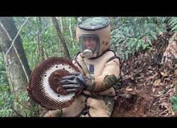 Enlace a Acabando con una colmena de avispas gigantes