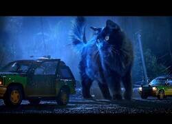 Enlace a Parque Jurásico pero con un gato