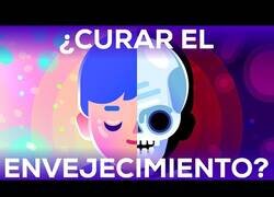 Enlace a ¿Se puede curar el envejecimiento?