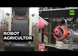 Enlace a Crean un 'robot agricultor' que recoge fruta en China